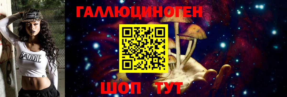Псилоцибиновые грибы Psilocybine cubensis Россошь