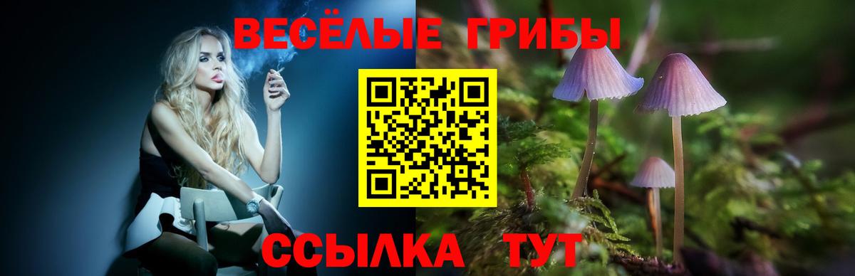 Россошь  Псилоцибиновые грибы мицелий  где продают   Вход с VPN 